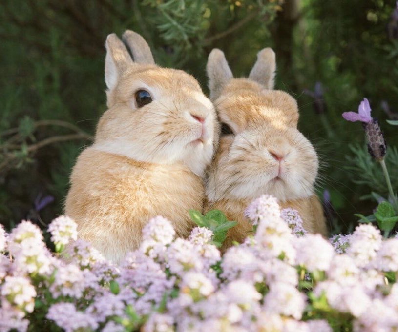 prtygal777's tweet image. 