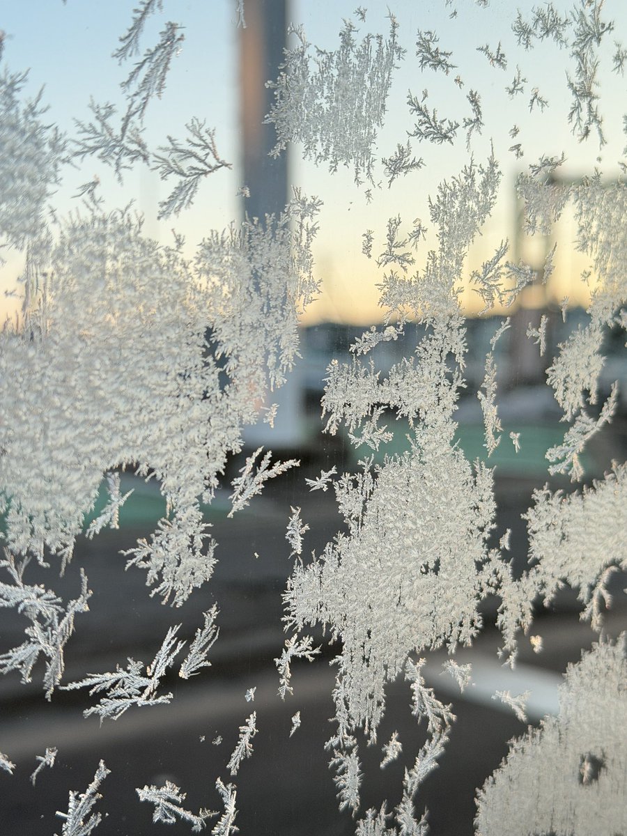 幻想的すぎる世界を、プロにゆっくりご案内いただきました🥹色んな動物たちがいましたが、とても静かなネイチャーグルーヴでした😌 