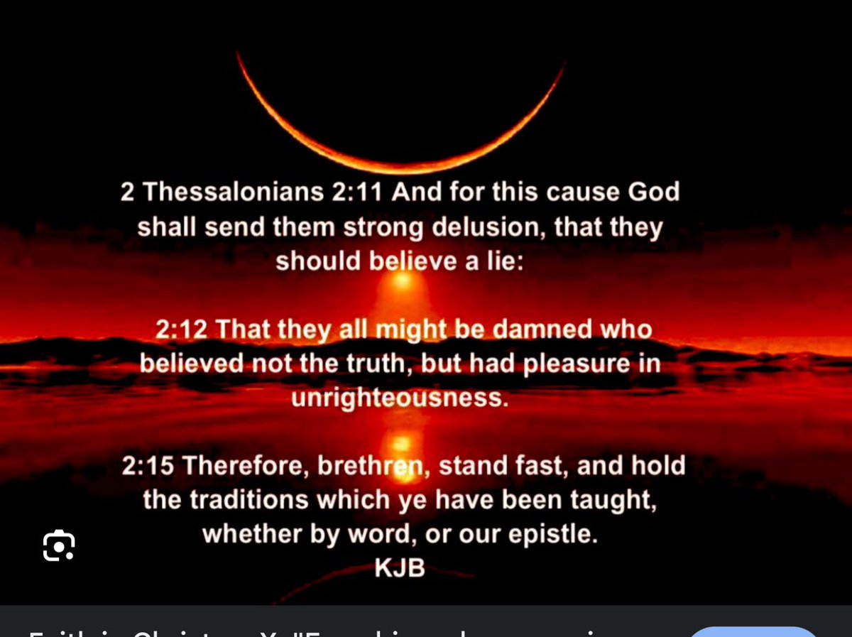 holly wiley tweet media