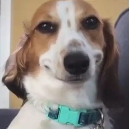 Max/EmSwizzle tweet media