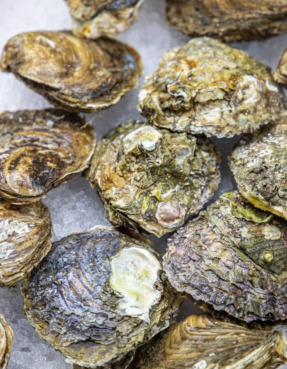 Disfruta de las Jornadas de la Ostra de la Ria de Arosa en nuestros restaurantes.
Hasta el 28 de Febrero. ¡No te lo pierdas!

#grupooter #restaurantes #ostras