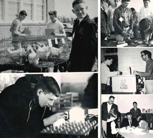 ASU-Beebe tweet media