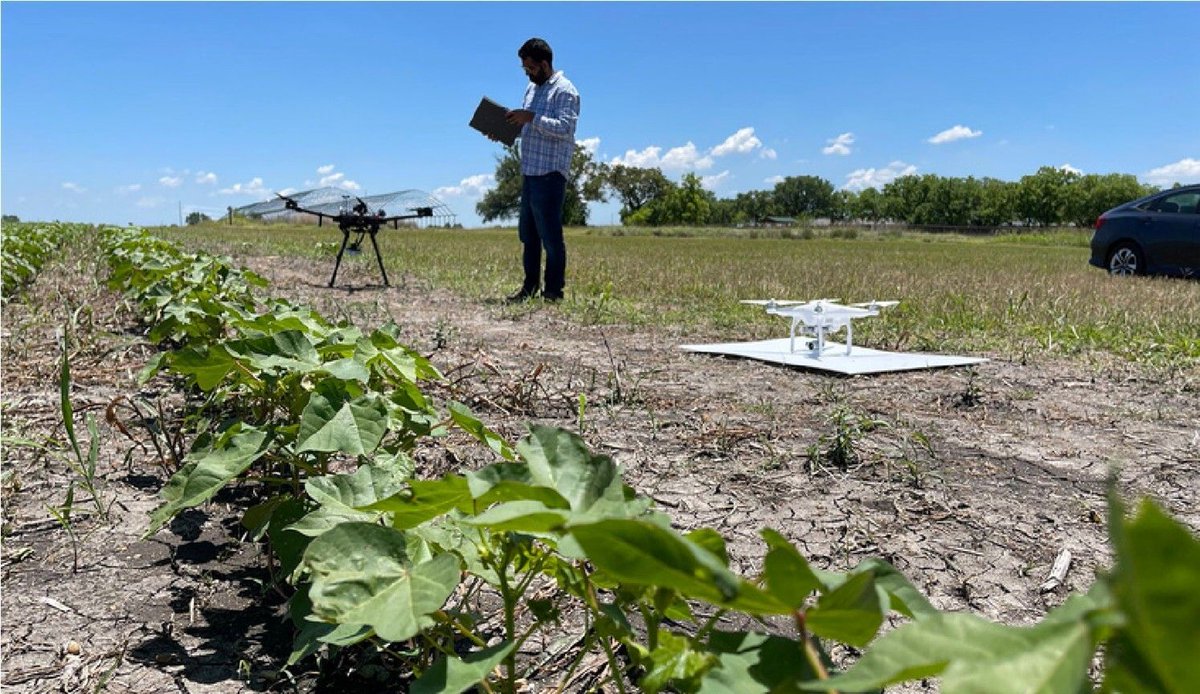 Texas Water Resources Institute tweet media