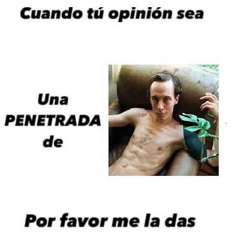 THCbeca9 tweet media