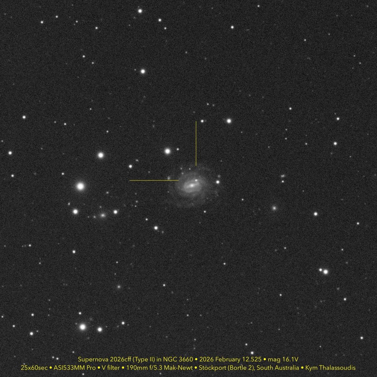 Skymaps | The Evening Sky Map tweet media