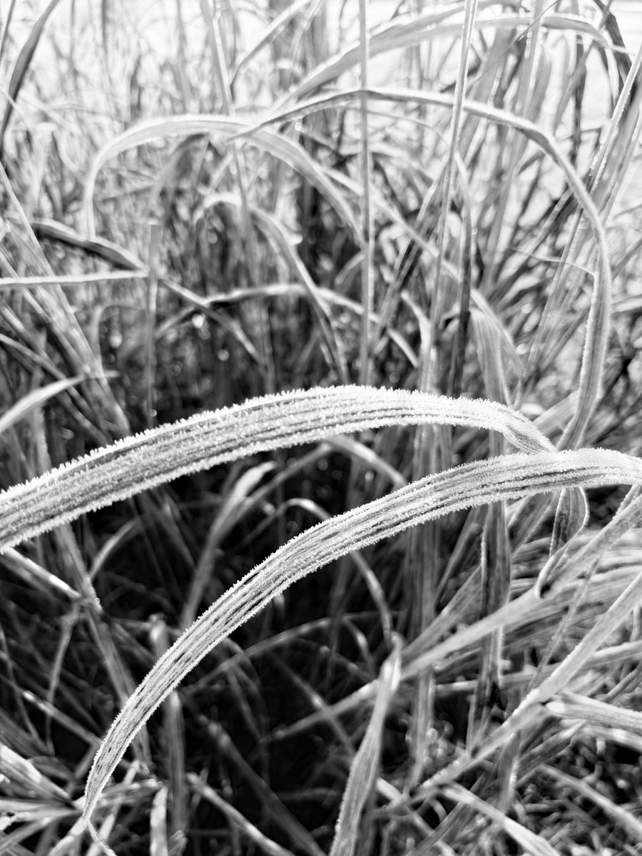 너 저기에 나는 여기에 섰다
그 사이에 흐르는 그리움
얼어 붙지도 못 하고 이슬도 되지 못 하는 
늙어버린 약속들이 흐른다.
#낙서