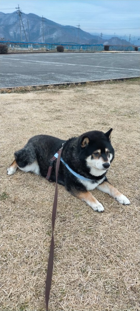 金曜日の朝も動かないねえ