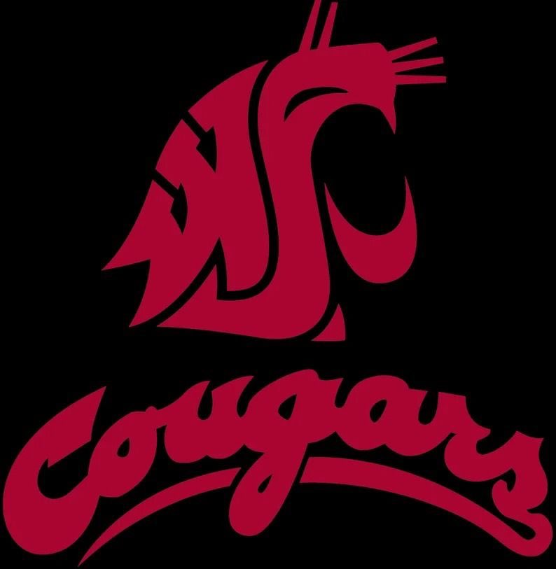 Gianni Haynes 3 ⭐️ tweet media