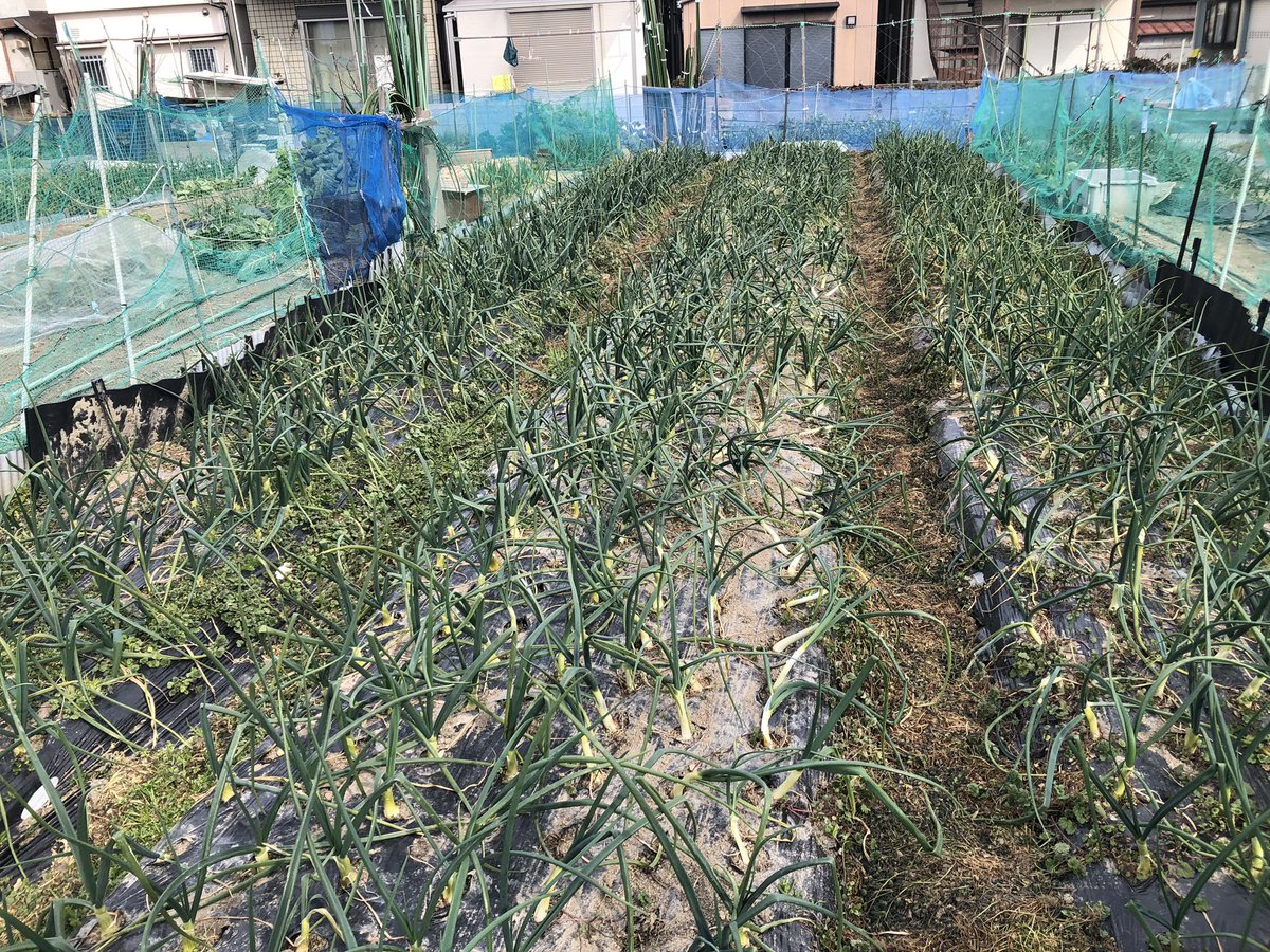 みなさまこんばんは🌆 今日もお疲れ様でした😊 素敵な週末をお過ごし