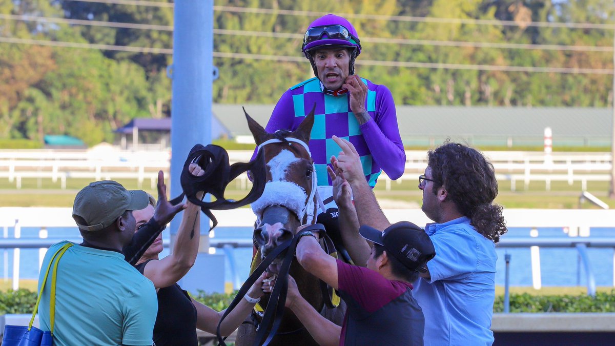 GulfstreamPark's tweet photo. Saratoga Flash surges late to deliver in the finale for trainer @SaffieJosephJr. A Hat Trick today for jockey @EdwinGonzalz1! #GulfstreamPark #ChampionshipMeet https://t.co/wgferGjlSY