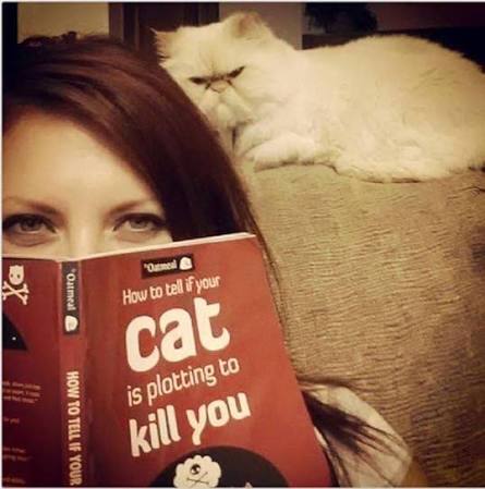 Reorick1's tweet photo. @Clarion_AE Those eyes of alma👀 you might wanna consider to buy this book "How to Tell If Your Cat Is Plotting to Kill You" https://t.co/AlWAN8viF5