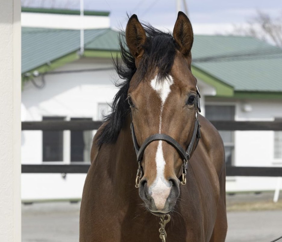 株式会社エクワインレーシング tweet media