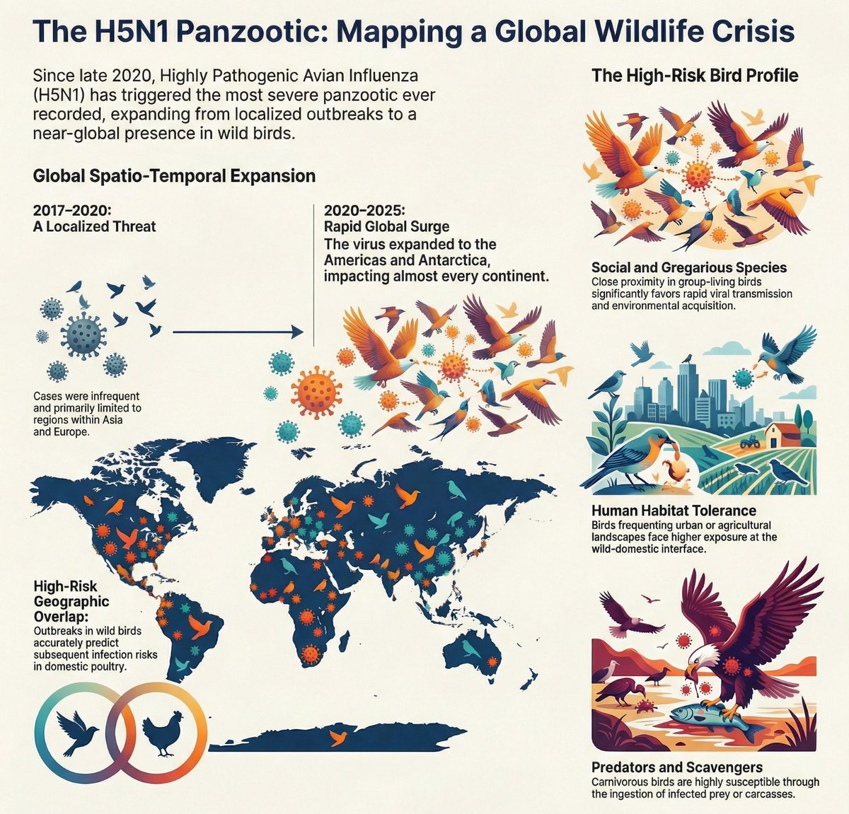 richardhirschs1's tweet image. #H5N1 #BirdFlu #Pandemic

⚠️H5N1 Avian outbreaks reported by @USDA from multiple US 🇺🇸 states:

Iowa, Missouri, Mississippi, Kansas, New York, Ohio, Texas, Arizona, Tennessee, Colorado.
H/T @FluTrackers 

H5N1 is widespread in wild birds, sea birds, domestic flocks, and more than