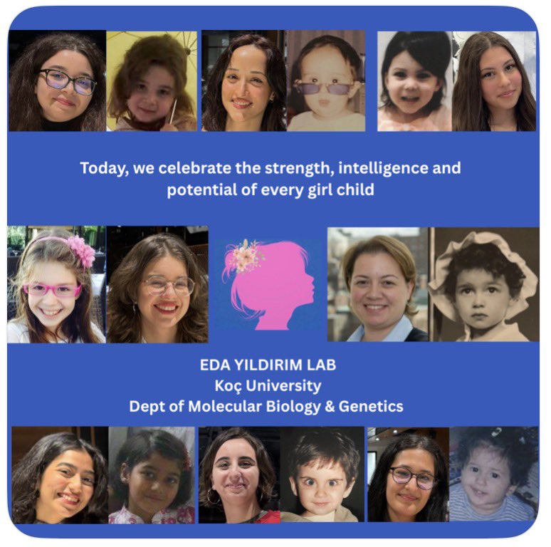 Eda Yildirim tweet media