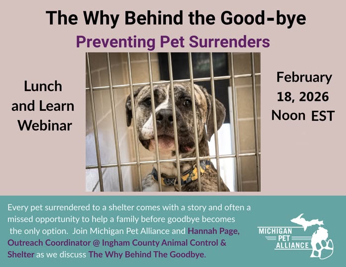 All About Animals tweet media