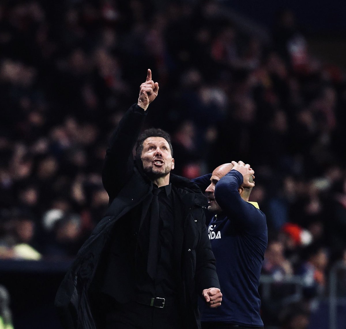 Hoy estáis escondidos, como caraduras y sinvergüenzas que sois, pero los putos anticholistas de mierda deberíais de pisar por donde pasa Don Diego Pablo Simeone. Respetad al más grande de nuestra historia, putos imbéciles.