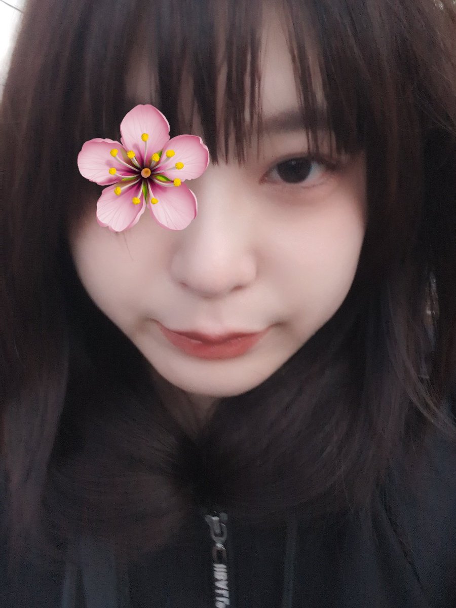 あずにゃん🎀あしえラの姉 (@azu_pudding_set) / Posts / X