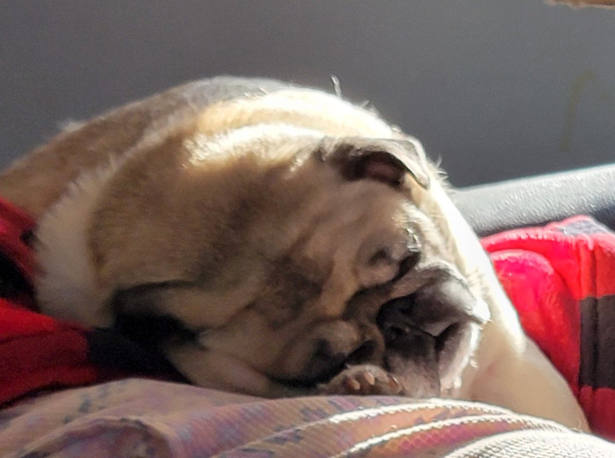 💗ANGELSARAH💗 S&O🍊 tweet media