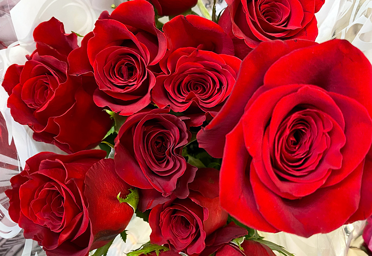 Love NV Waters tweet media