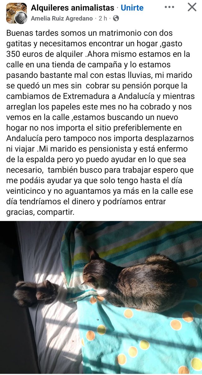 🐾 AnimalLover 🐾 Difusión ☀️ tweet media