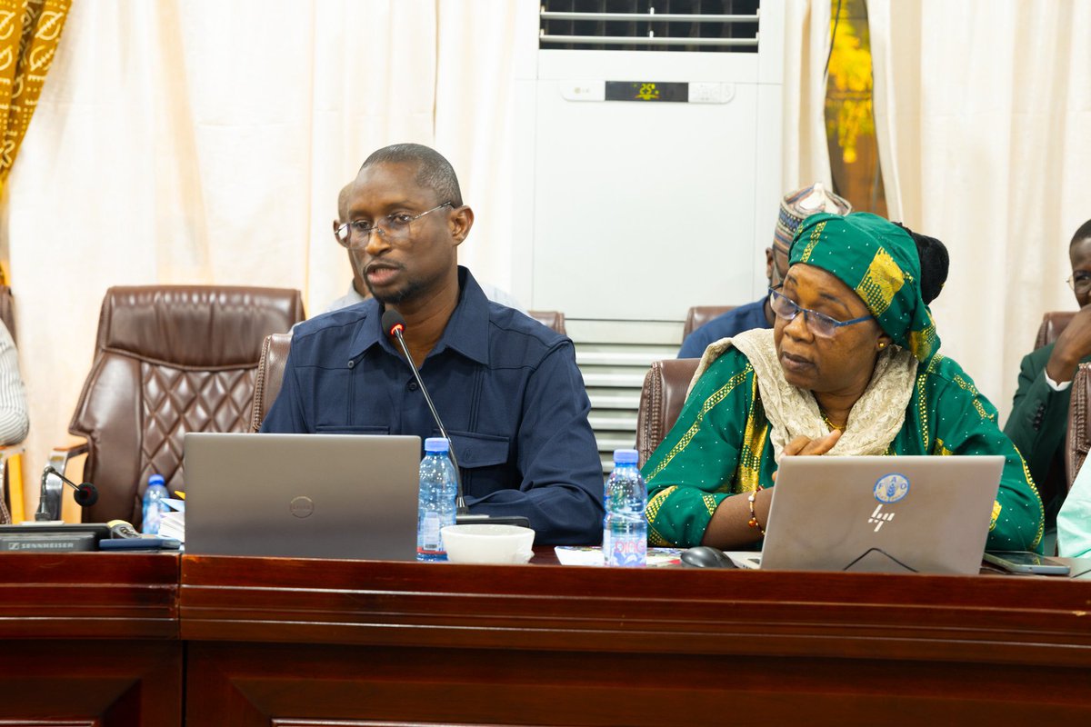 UN Peacebuilding Fund - PBF Mali tweet media