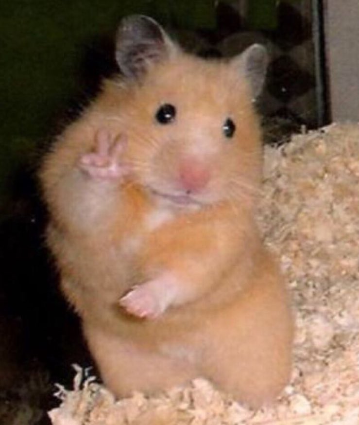 mu_ing56037's tweet image. #블루레이디 #블루레이디_막차 #블루레이디_트친
안녕하세요! 한 달 가까이 고민하다 막차 탑승합니다. 재테크, 부업, 자기계발 관심 많아요! 
✨블로그, 유튜브, 국&amp;amp;미장, 코인 다 발 담그고 있는데 요기도 슬쩍 담가봅니다. 제 첫번째 칭구가 되어주실 분?!🥹 맞팔 열심히 갈게요!! 잘 부탁드려요!!