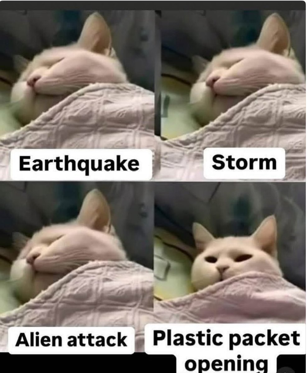 PowerfulAuraX's tweet photo. https://t.co/hfQOw0XLu4