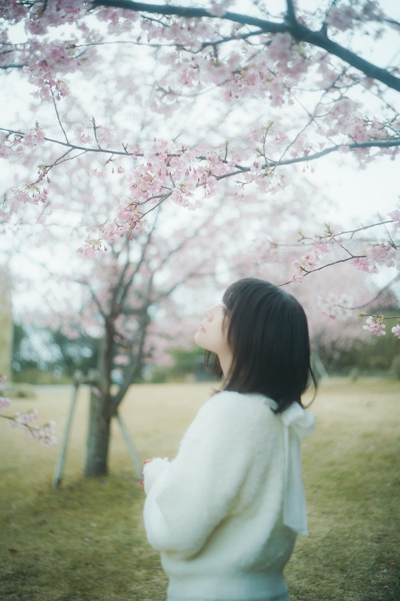 model:ハシモトメロさん

#portrait #ポートレート
#ungraphy