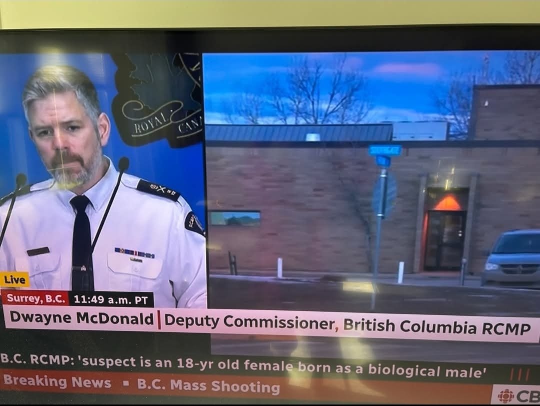 BCBarracuda tweet media