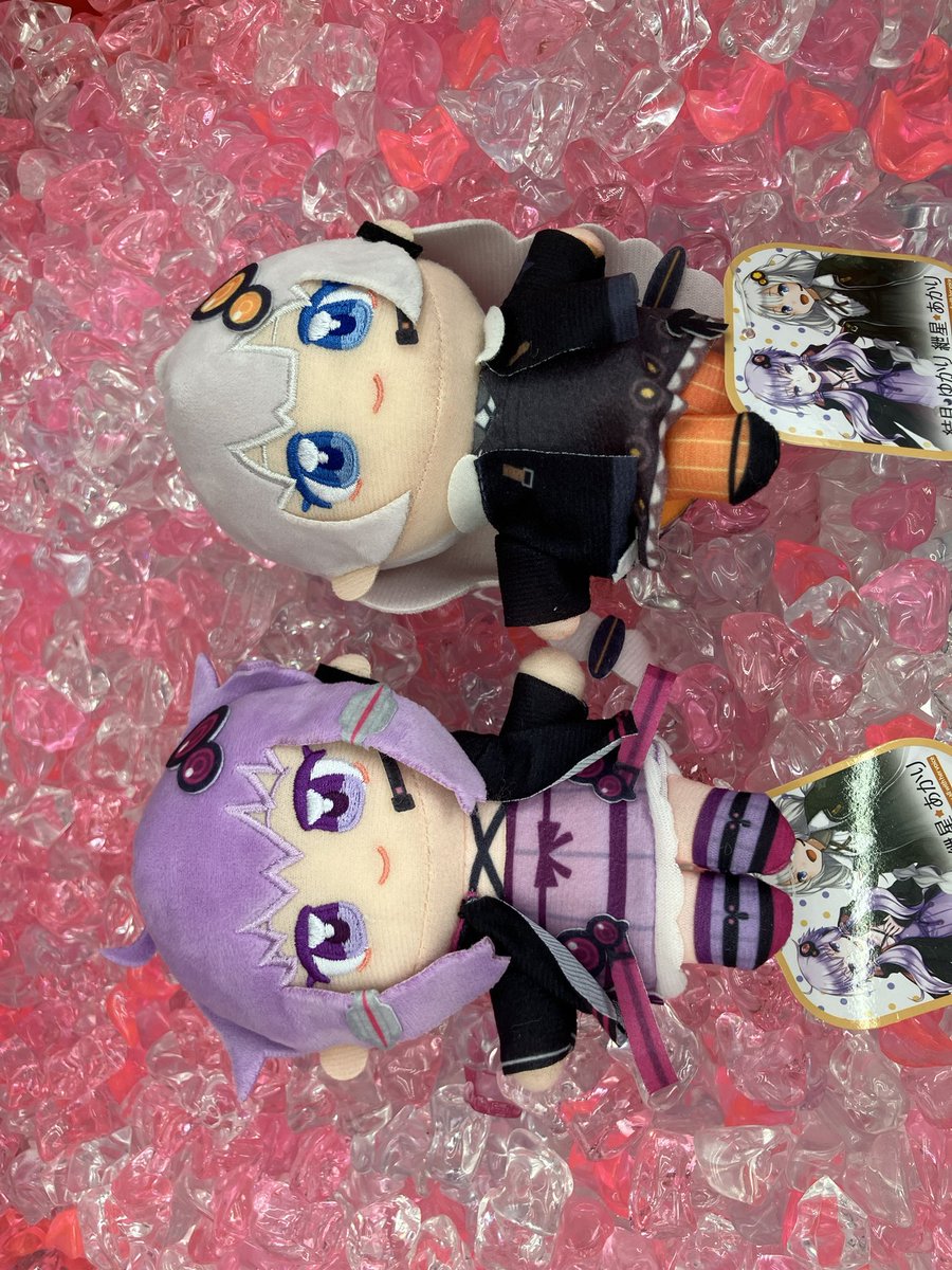 プライズ情報】 『結月ゆかり＆紲星あかり ぬいぷりけおすわり（再販