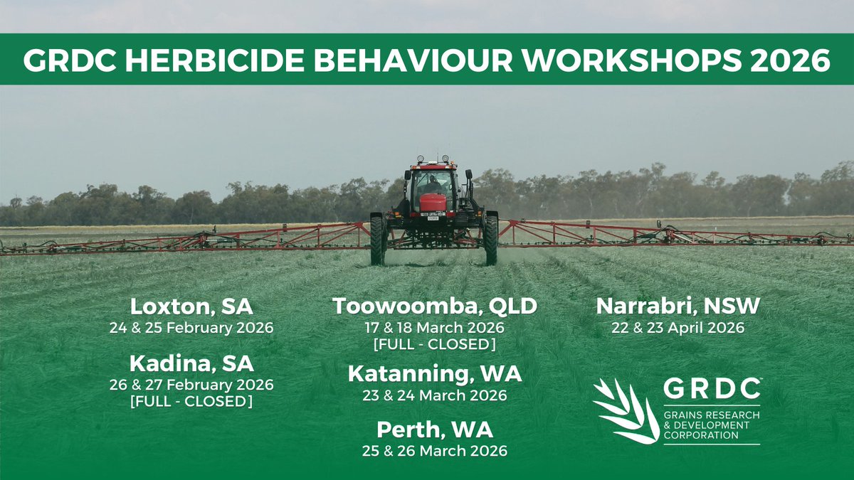 Erica McKay tweet media