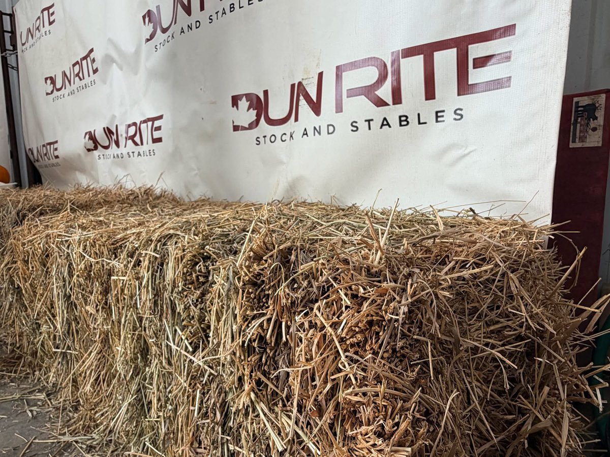 DunRiteSS's tweet photo. Agriculture is full of challenges, but through innovation, resilience, and forward thinking, we aim to make a lasting impact. We also provide a variety of educational services including speaking engagements and judging. Check out our website and book before Winter comes to an end https://t.co/078yYfW9cS