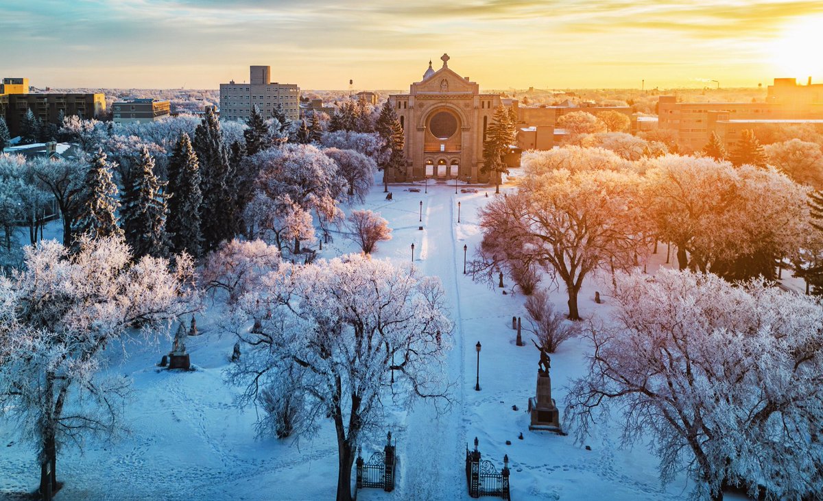 Diane Hammerling tweet media