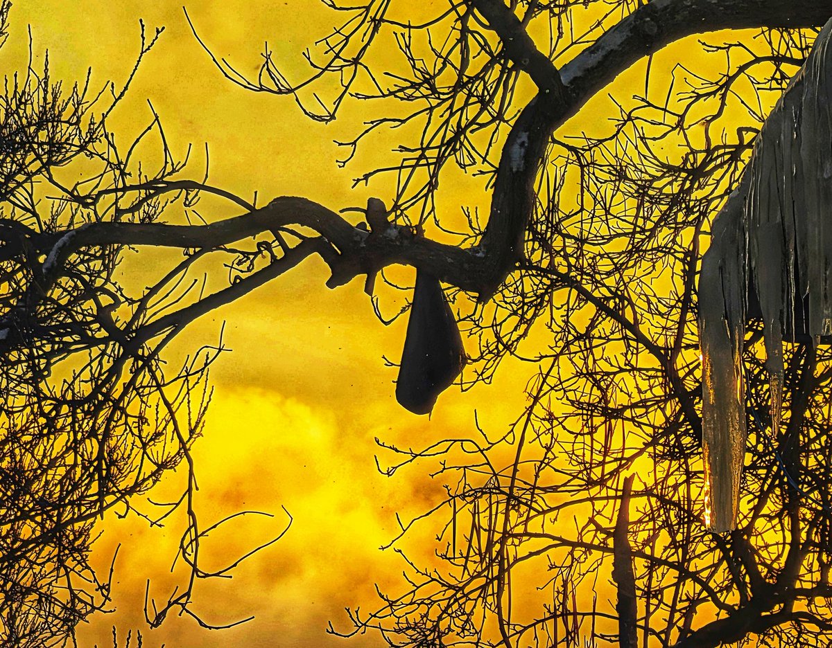 Tom Mazur tweet media