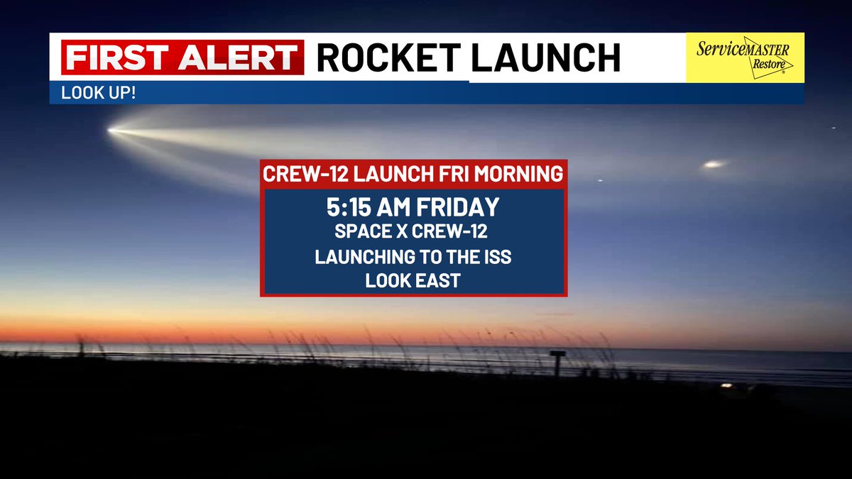 Lexie Horvath tweet media