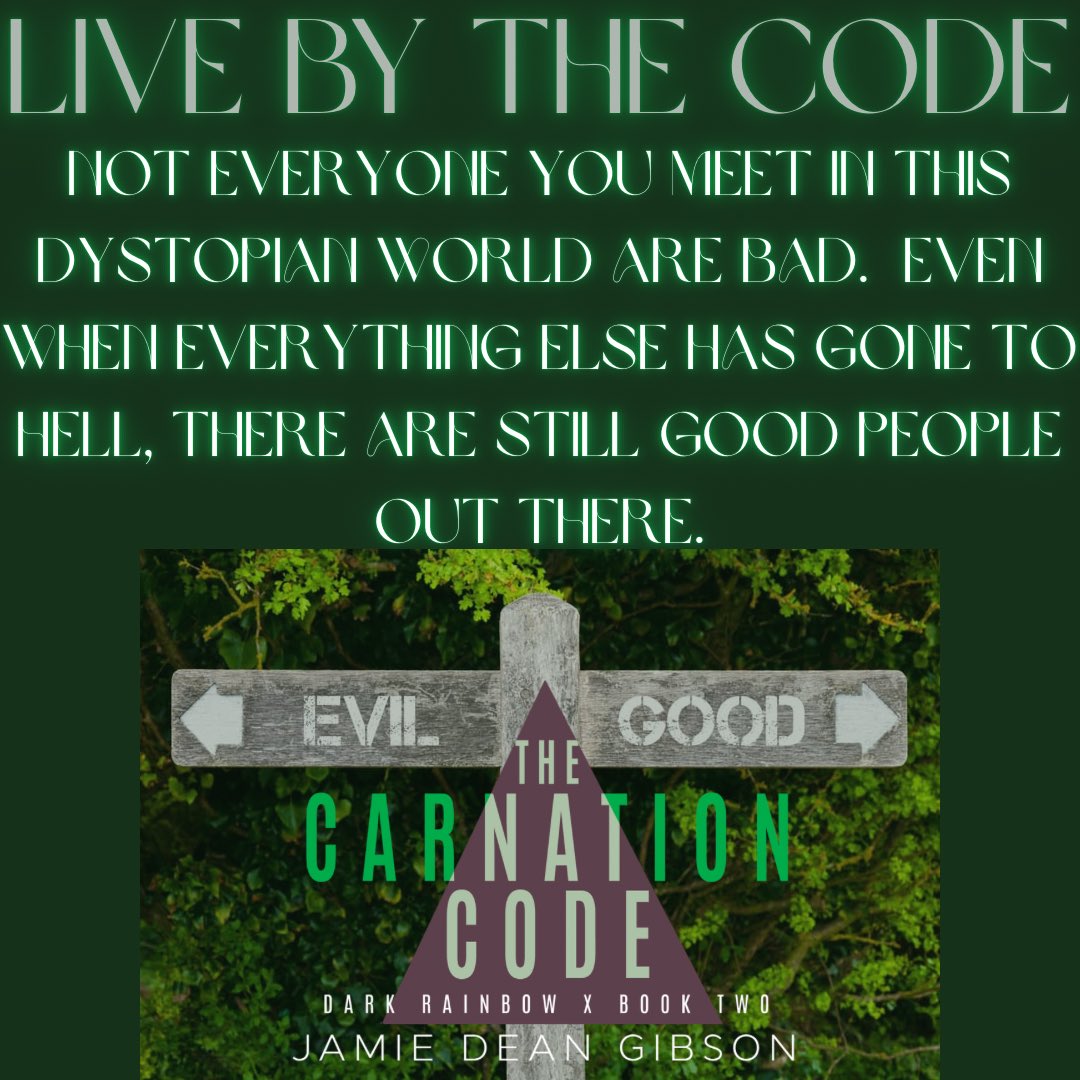 Reinvention17's tweet photo. There is light hidden even in the darkest places…

#TheCarnationCode
#LiveByTheCode
#ComingSoon
#BookBuzz
#MMRomance https://t.co/jun75mvpMb