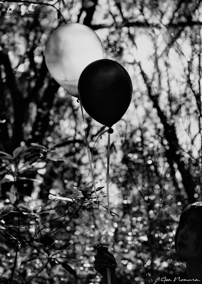 野村 原@next→26/04/24〜Flame / 2L展 DFG 2-D tweet media