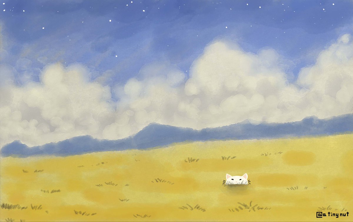 atinynut's tweet photo. 🐈🐾 https://t.co/lCFkXkN6kR