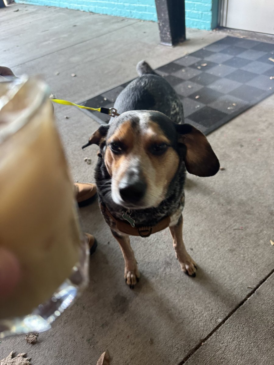 Alli McTrucks 🚚 tweet media