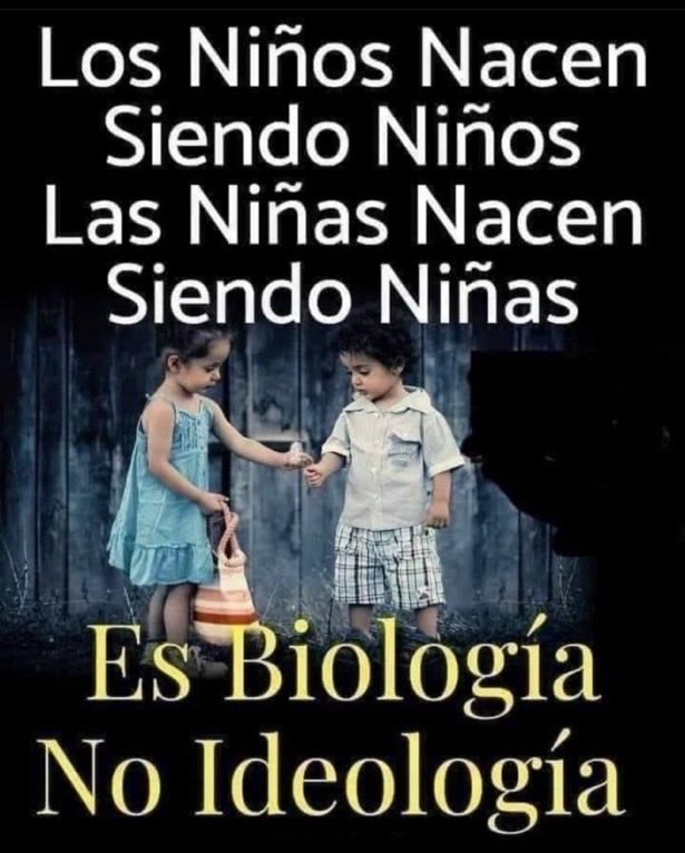 Fabiolacarolina (@fabiolacar49087) on Twitter photo 