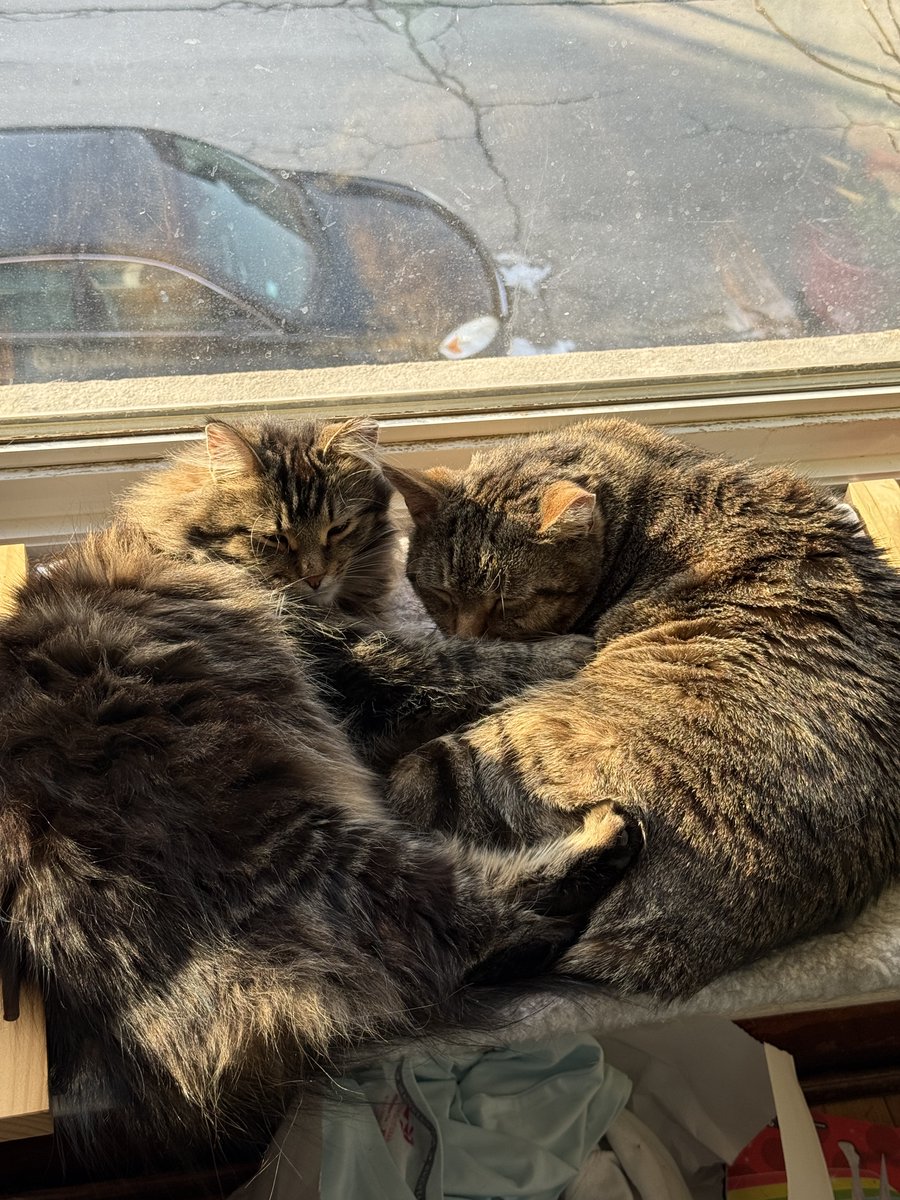 Kayjacker tweet media