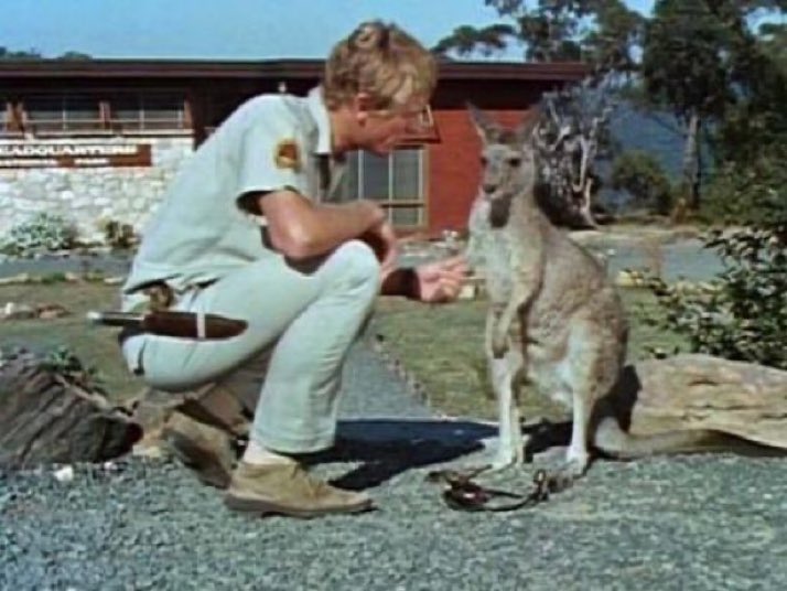 “What’s that Skippy, a boy is trapped down the well but it doesn’t matter because the Dow’s over 50,000?”