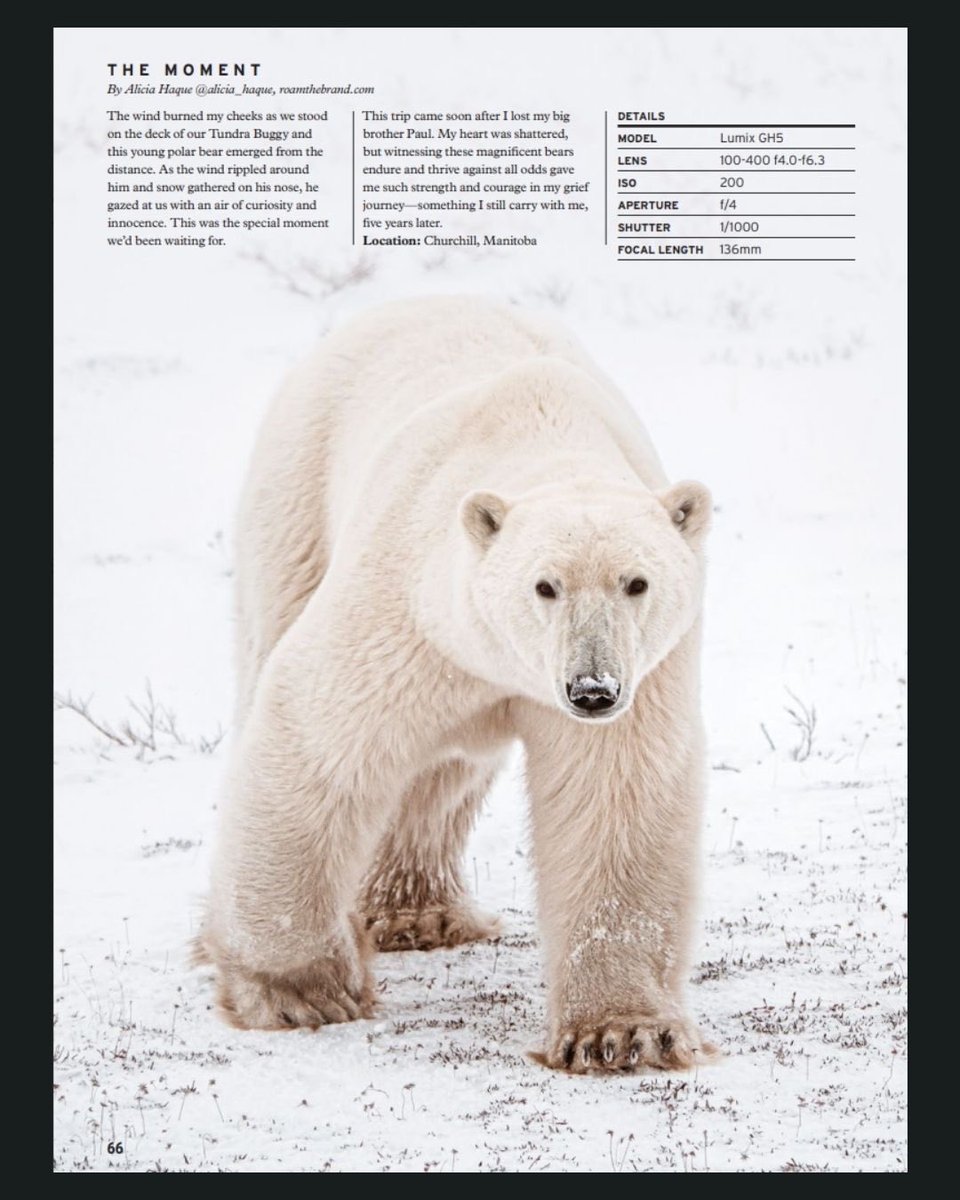 Explore Magazine tweet media