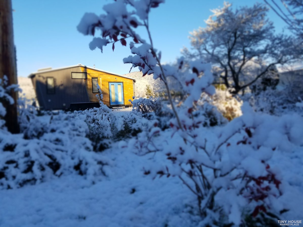 TinyHouseTalk's tweet image. When an architect designs a tiny house: 275 sq ft of pure brilliance. Custom built-ins, transforming spaces, and not an inch wasted. #tinyhouse #architecture
tinyhousetalk.com/architect-desi…