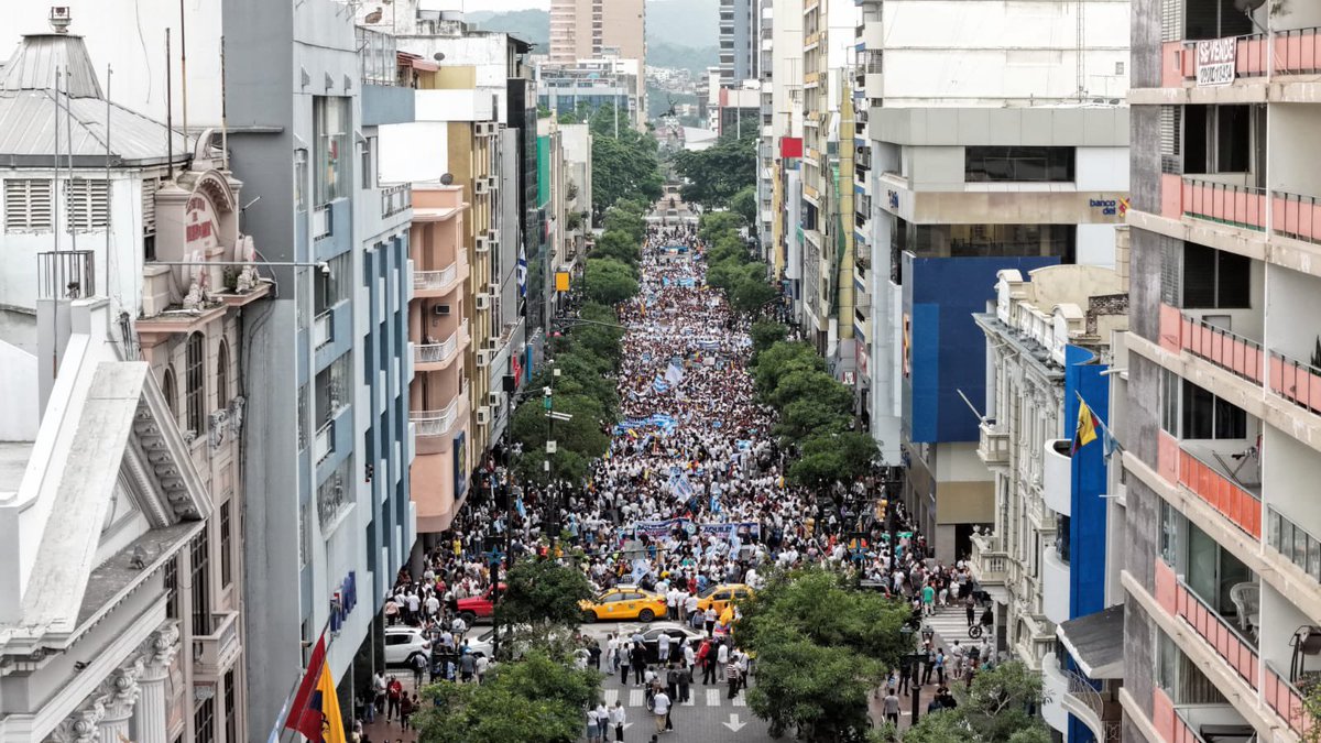 Andersson Boscán tweet media