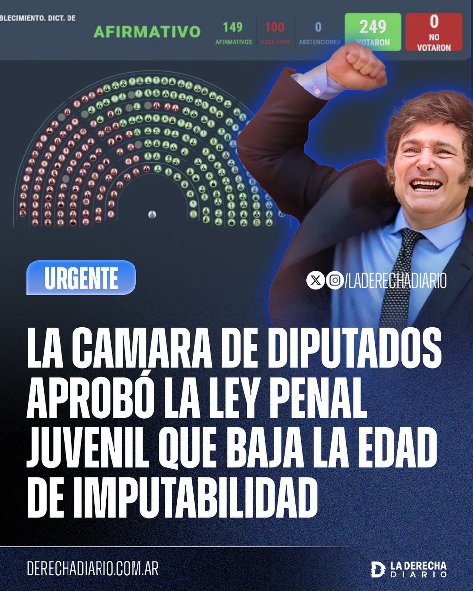 laderechadiario's tweet image. 🚨🇦🇷 | #URGENTE GANÓ MILEI: El Congreso aprobó en general la media sanción de la Ley Penal Juvenil que baja la edad de imputabilidad para terminar con la impunidad de los delincuentes menores de edad criados bajo el kirchnerismo.
