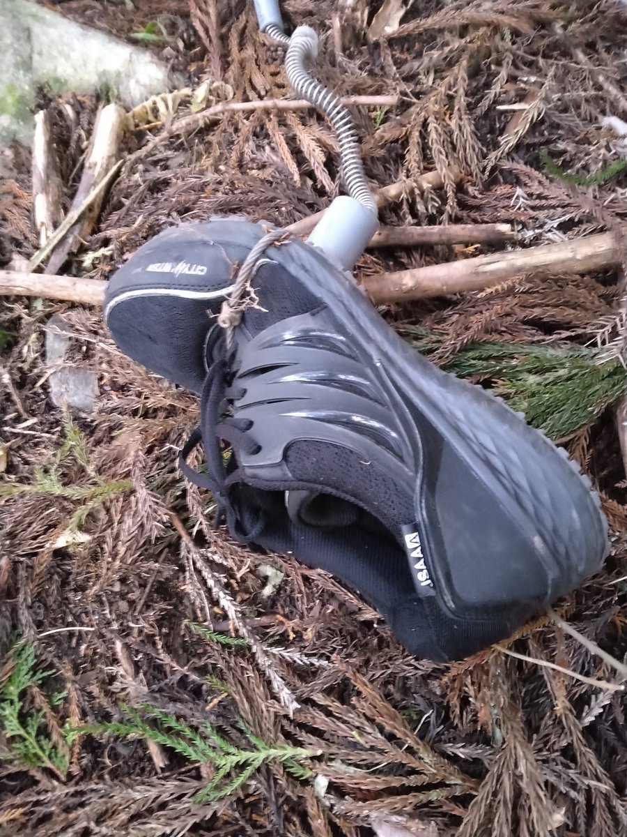 マサユキ tweet media