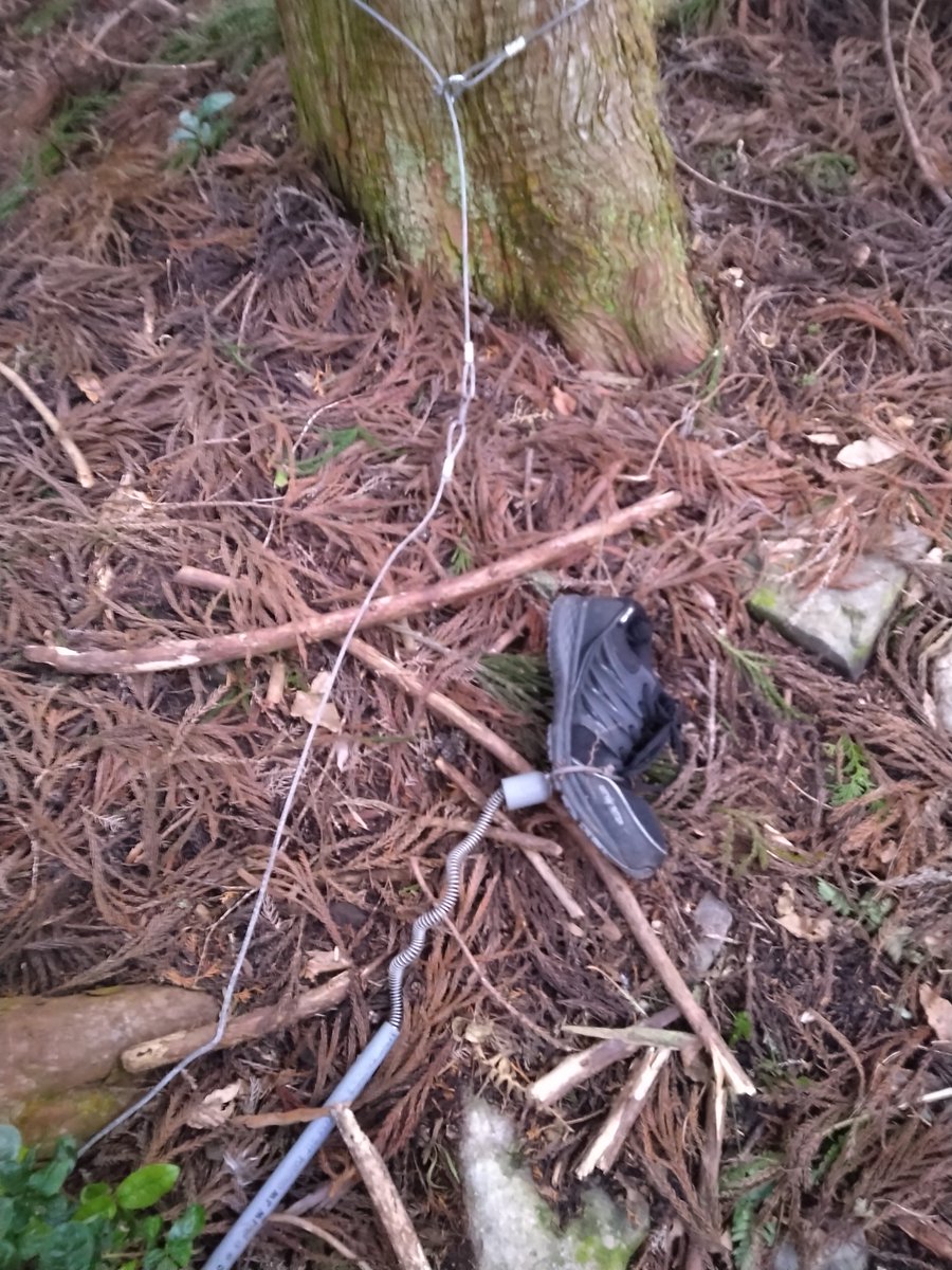 マサユキ tweet media