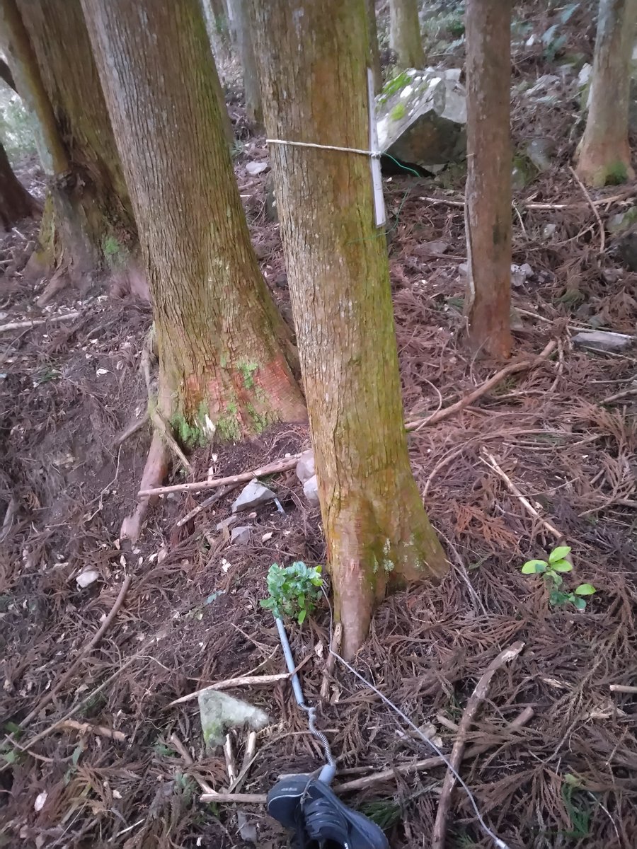 マサユキ tweet media