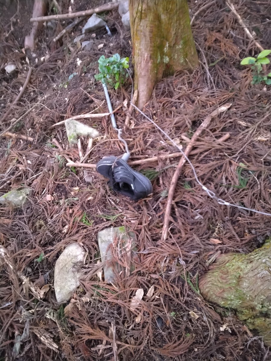 マサユキ tweet media